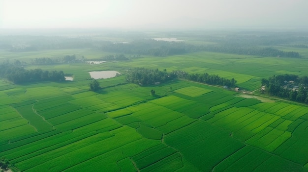 Aerial view of oriental Rice fields surreal rice cultivation landscape asian green planes and plantations Generative AI