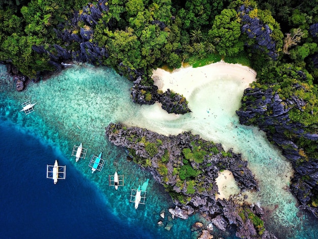 Aerial view of outriggers in sea