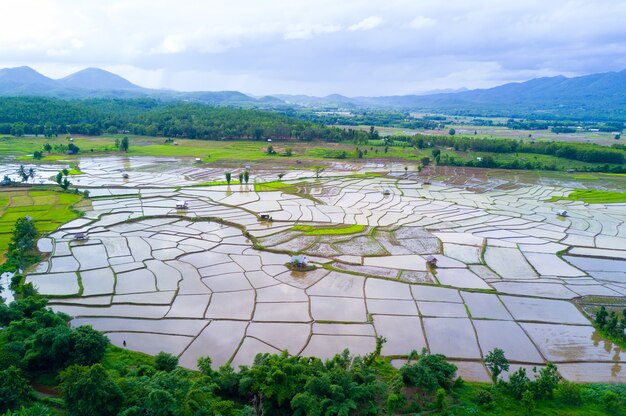 Aerial view of paddy rice fields in the valley.