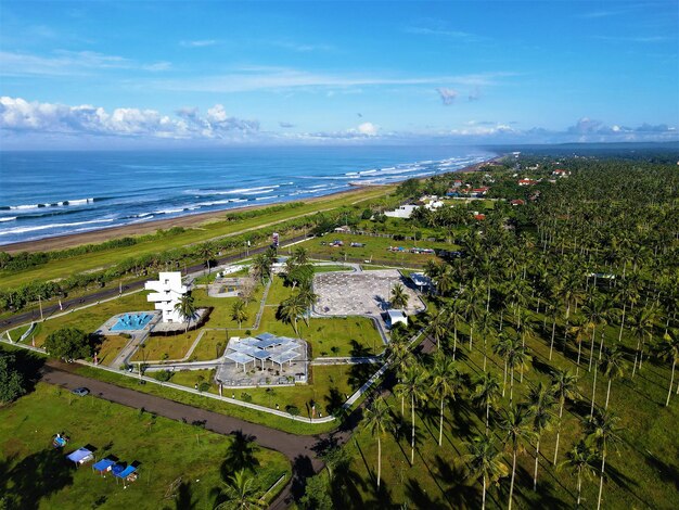 Photo aerial view of palm trees by the beach - for background