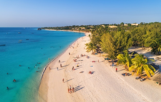 Aerial view of palms on the sandy beach of Indian Ocean