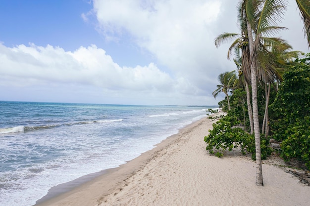 Aerial view of Palomino Beach in La Guajira in Colombia South America