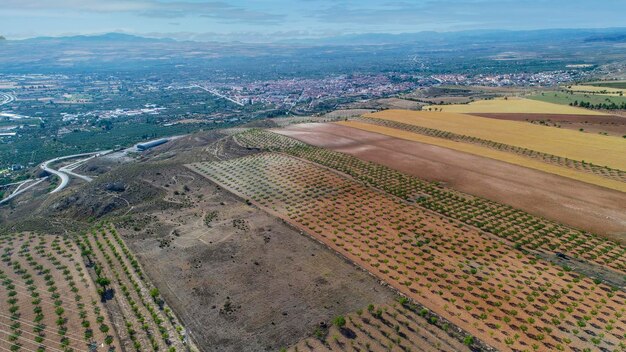 Aerial view of a parcel field of crops