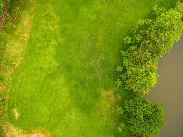 公園の空景