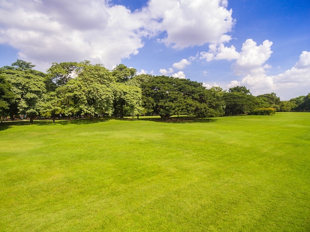 Aerial view of park