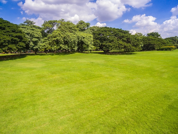 Aerial view of park