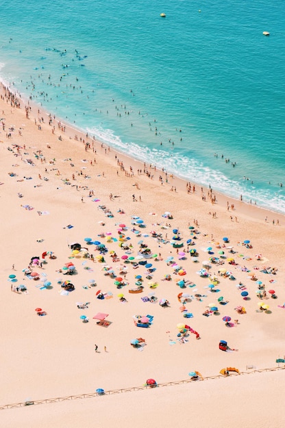 aerial view of people at beach