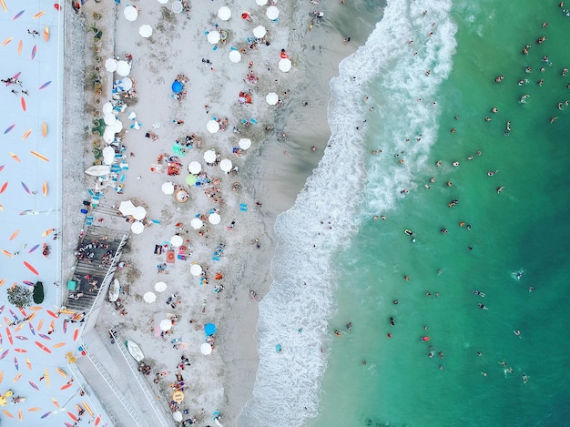 aerial view of people at beach