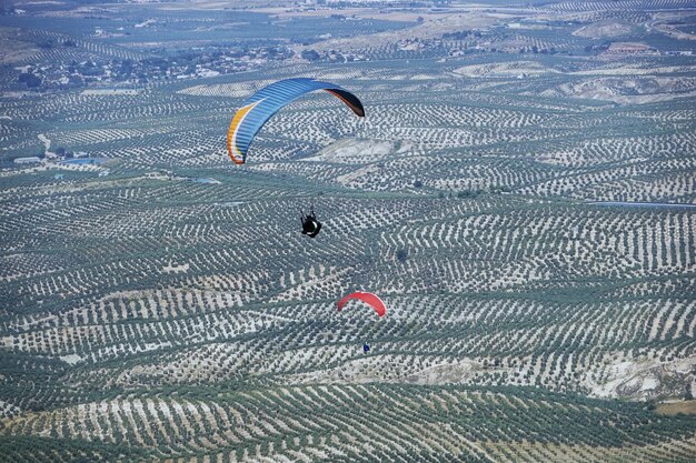 Photo aerial view of people paragliding over agricultural field