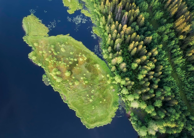 위에서 내려다 본 카렐리야의 그림 같은 호수 숲과 호수의 공중 보기