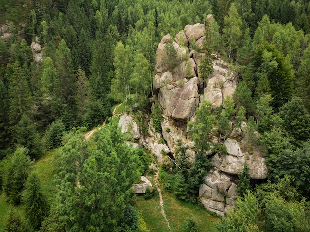 Aerial view of a picturesque rock located among the spruce forest in the mountains