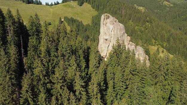 Aerial view of a picturesque rock located among the spruce forest in the mountains