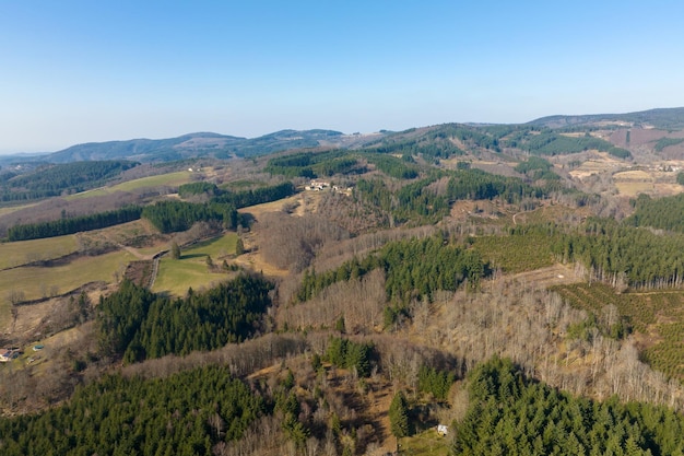 Veduta aerea della foresta di pini con un'ampia area di alberi abbattuti a causa dell'industria globale della deforestazione influenza umana dannosa sull'ecologia mondiale