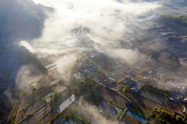 Aerial view of Pinggan village and farmland covered misty at morning time near slopes Batur mountain in Bali Indonesia
