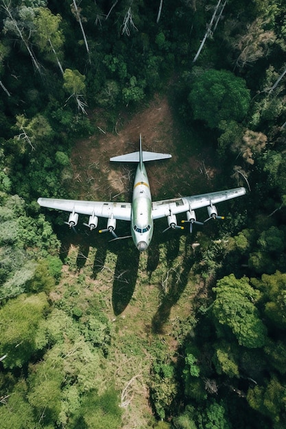 森 の 上 の 飛行機 の 空中 景色