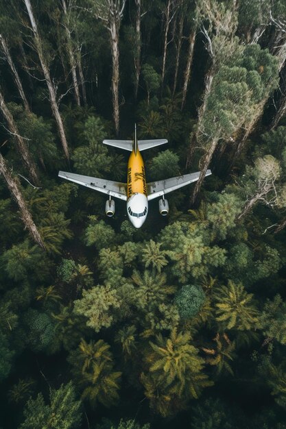 Foto vista aerea di un aereo sopra la foresta