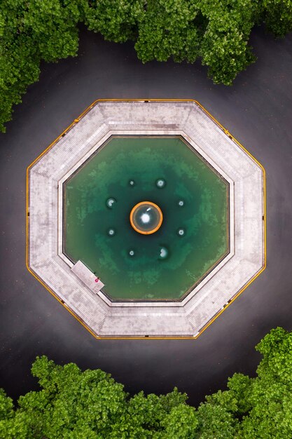 Foto vista aerea dello stagno tra gli alberi