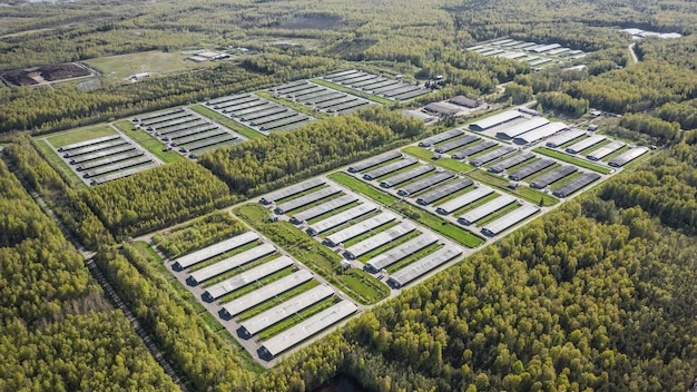 Aerial view of poultry farm among forest