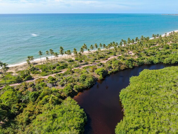 Aerial view of Praia Do Forte coastline town with blue ocean Bahia Brazil Tropical destination