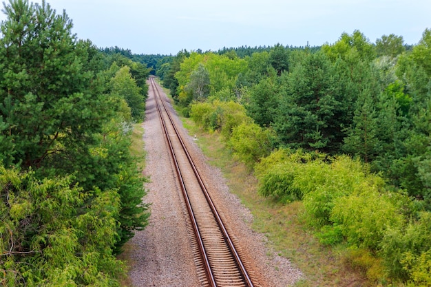 Вид с воздуха на железнодорожные пути через зеленый сосновый лес
