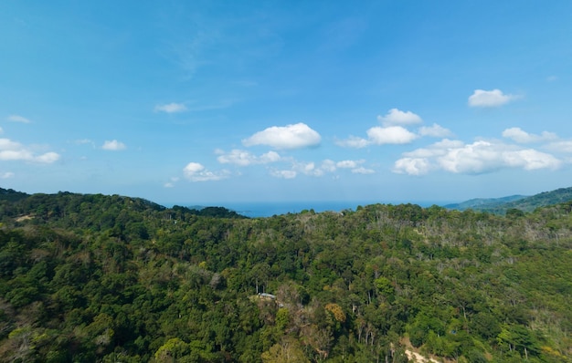 夏の晴れた日にドローンカメラから空撮熱帯雨林の風景自然を見る
