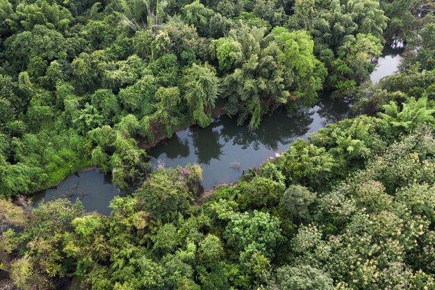 Foto vista aerea del fiume in un'abbondante foresta pluviale tropicale sul parco naturale in campagna