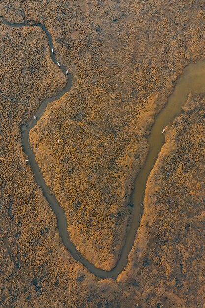 Foto vista aerea del fiume in mezzo al paesaggio