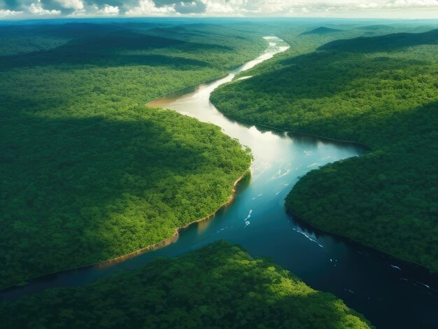 An aerial view of the river in the forest