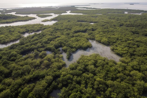 An aerial view of a river surrounded by trees generative AI