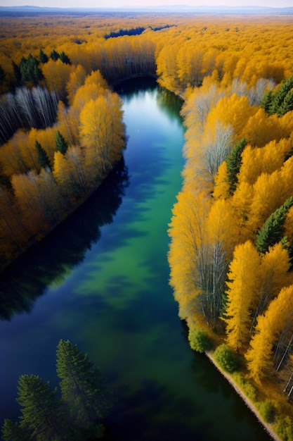 An Aerial View Of A River Surrounded By Trees