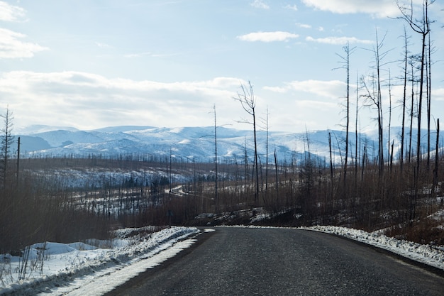 Aerial view of the river and taiga forests and road in the winter  springtime  abstract landscape of northern nature with drone