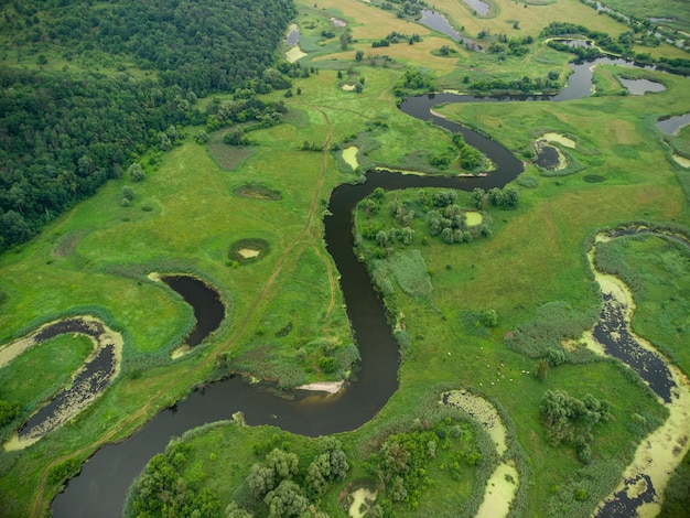 Aerial view over the river which is on the green forest.