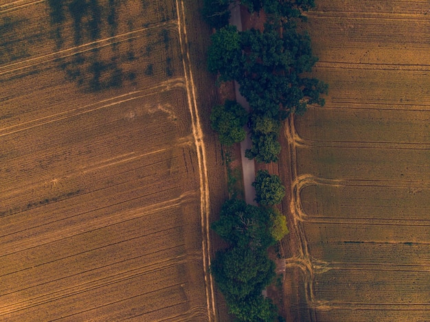 農地の中の道路の空中写真