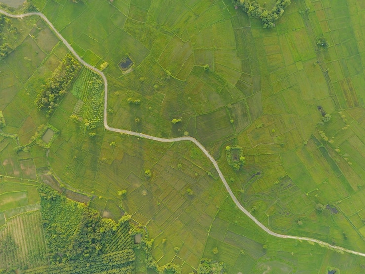 Photo aerial view of road amidst agricultural field