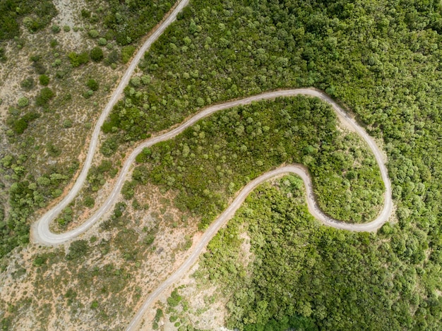 Foto vista aerea della strada in mezzo agli alberi verdi