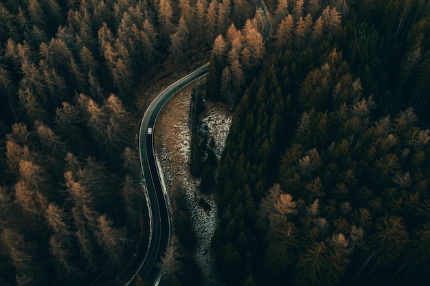 Foto vista aerea di una strada tra gli alberi della foresta