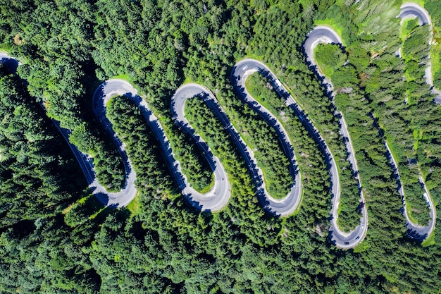 Foto vista aerea di una strada tra gli alberi