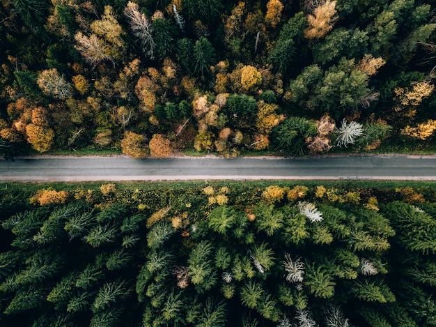 Вид с воздуха на дорогу в красивом осеннем лесу Красивый пейзаж с сельской дорогой и деревьями с разноцветными листьями