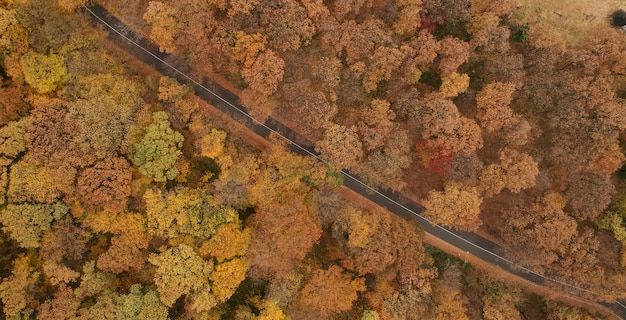 Aerial view at the road in beautiful autumn forest