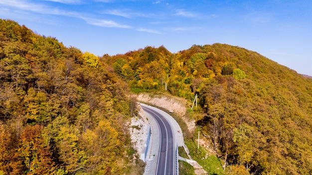 木のカラフルな葉を持つ美しい森林景観における道路の空撮。上からの眺め