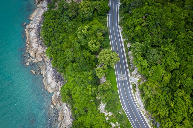 Aerial view of road between coconut palm tree and great ocean at daytime in Nakhon Si Thammarat, Thailand