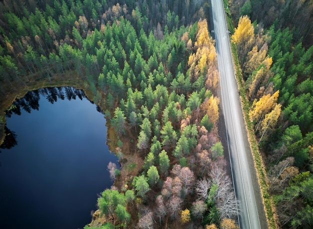 カラフルな秋の森とカレリアの青い湖の間の道路の空撮 道路に立ち寄って湖で釣りをする