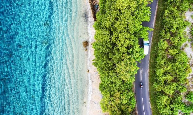 森の中の道路の空撮 森と海の海岸を通る高速道路 ドローンからの眺め 空から見た夏の自然の風景 旅行のイメージ