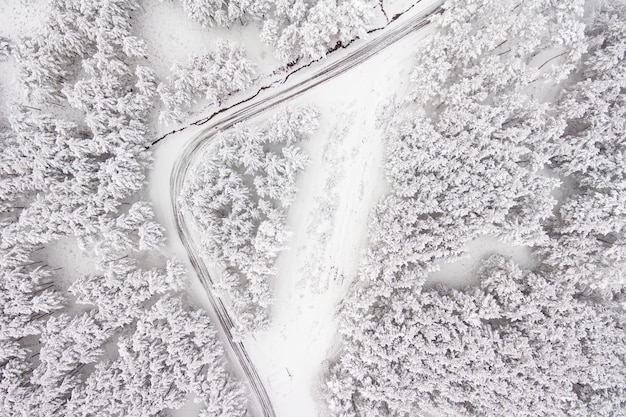 Aerial view on the road and forest at the winter time. Snowy forest, natural winter landscape.