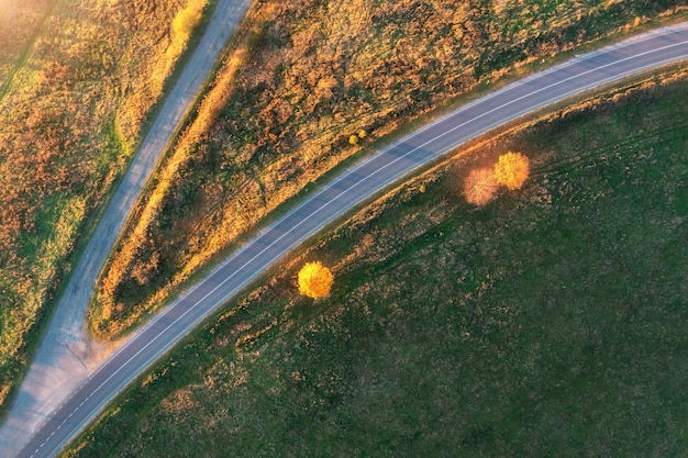 Aerial view of road hills green meadows and colorful trees at sunset in autumn Top view of rural road Beautiful landscape with roadway grass orange trees in fall Highway View from above
