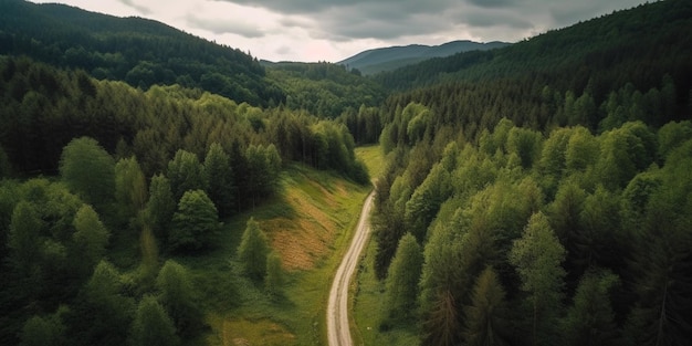 Aerial view of a road in the middle of the forest road curve construction up to mountain top view