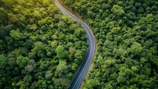 森の真ん中の道路の空中写真山まで曲がる道路の建設