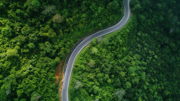 森の真ん中の道路の空中写真山まで曲がる道路の建設