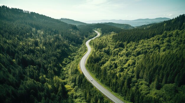 Aerial view of a road in the middle of the forest