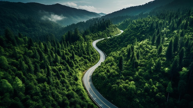 山に向かう緑の森の道の真ん中にある道路の空撮車のコンセプトで旅行する